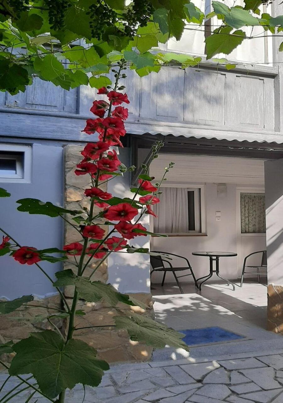 Beso-House Lejlighed Borjomi Eksteriør billede